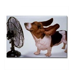 Meet your Posher, Jacqueline